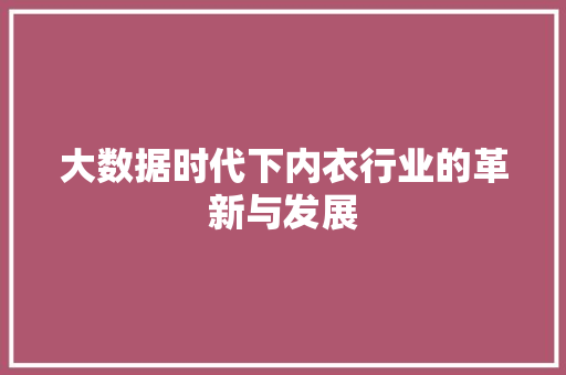 大数据时代下内衣行业的革新与发展 英文谷歌算法