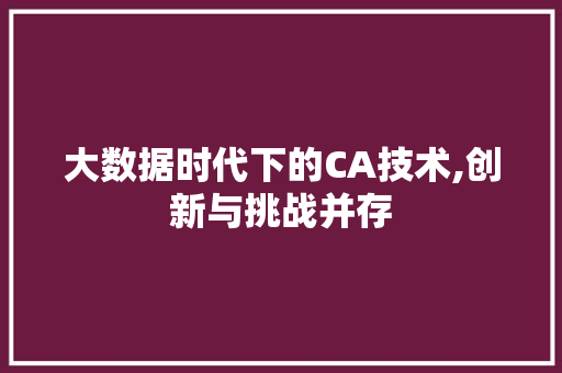 大数据时代下的CA技术,创新与挑战并存 seo技术