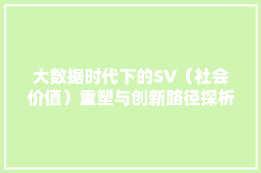 大数据时代下的SV（社会价值）重塑与创新路径探析 英文谷歌算法