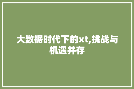 大数据时代下的xt,挑战与机遇并存 头条优化