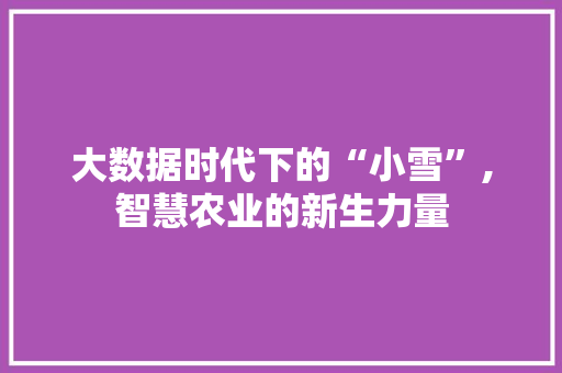 大数据时代下的“小雪”,智慧农业的新生力量