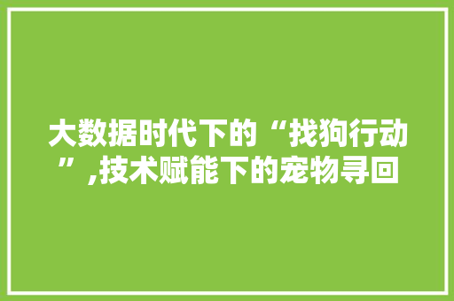 大数据时代下的“找狗行动”,技术赋能下的宠物寻回新篇章