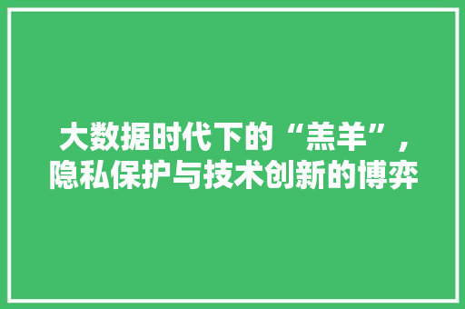 大数据时代下的“羔羊”,隐私保护与技术创新的博弈 搜狗优化