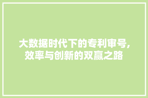大数据时代下的专利审号,效率与创新的双赢之路 网站优化