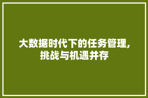 大数据时代下的任务管理,挑战与机遇并存