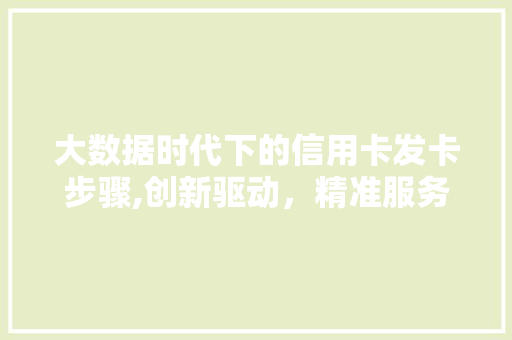 大数据时代下的信用卡发卡步骤,创新驱动，精准服务