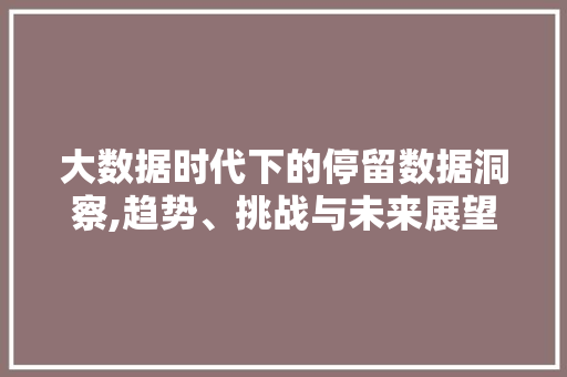 大数据时代下的停留数据洞察,趋势、挑战与未来展望 头条优化