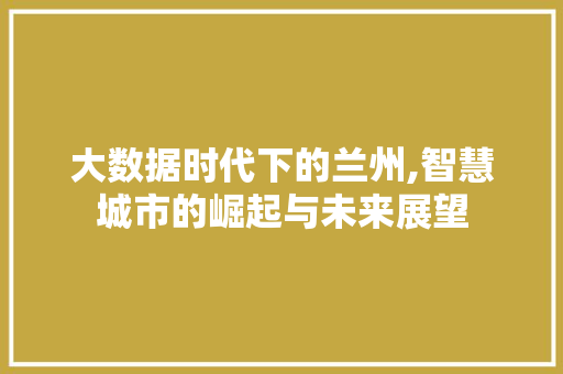 大数据时代下的兰州,智慧城市的崛起与未来展望 搜狗优化