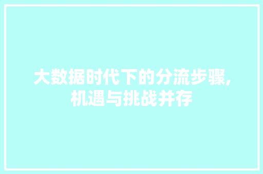 大数据时代下的分流步骤,机遇与挑战并存 小程序开发 大数据时代下的分流步骤,机遇与挑战并存 小程序开发
