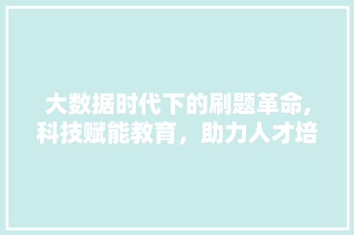 大数据时代下的刷题革命,科技赋能教育，助力人才培养 seo技术