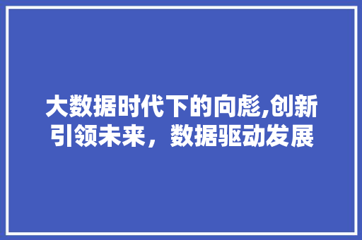 大数据时代下的向彪,创新引领未来，数据驱动发展 360搜优化