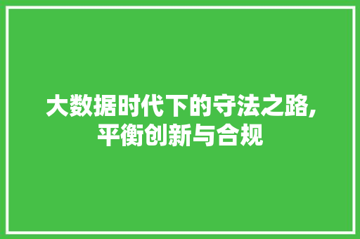 大数据时代下的守法之路,平衡创新与合规 英文谷歌算法