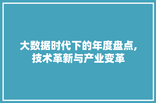 大数据时代下的年度盘点,技术革新与产业变革 网站开发