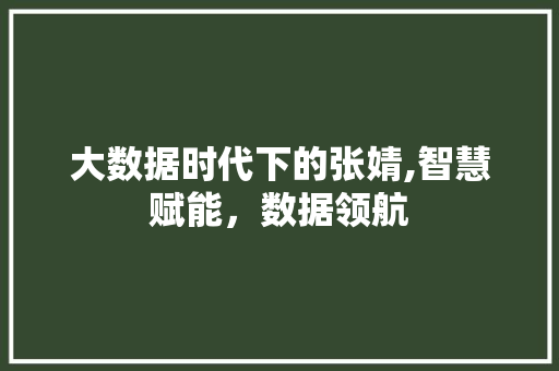 大数据时代下的张婧,智慧赋能，数据领航 360搜优化