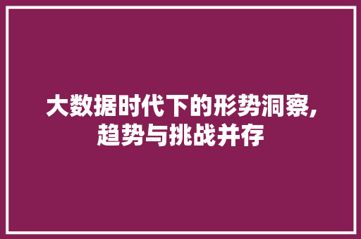 大数据时代下的形势洞察,趋势与挑战并存 网站开发