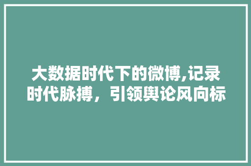 大数据时代下的微博,记录时代脉搏，引领舆论风向标