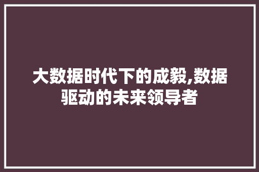 大数据时代下的成毅,数据驱动的未来领导者 网站优化