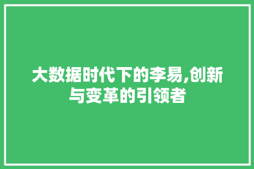 大数据时代下的李易,创新与变革的引领者 360搜优化