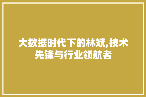 大数据时代下的林斌,技术先锋与行业领航者 网站优化