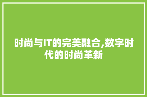 时尚与IT的完美融合,数字时代的时尚革新