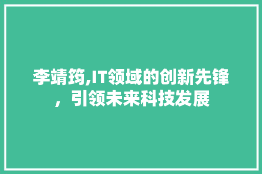 李靖筠,IT领域的创新先锋，引领未来科技发展 小程序开发