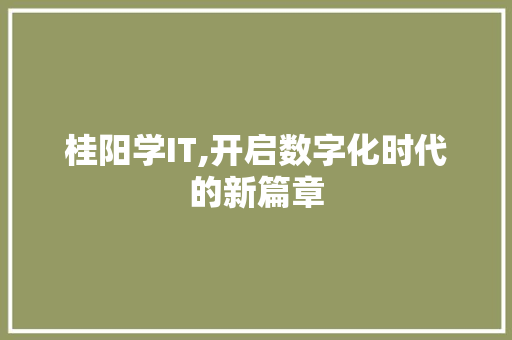 桂阳学IT,开启数字化时代的新篇章 seo技术