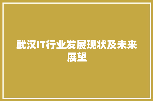 武汉IT行业发展现状及未来展望 头条优化