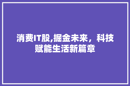 消费IT股,掘金未来，科技赋能生活新篇章 seo技术