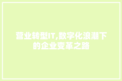 营业转型IT,数字化浪潮下的企业变革之路 网站开发