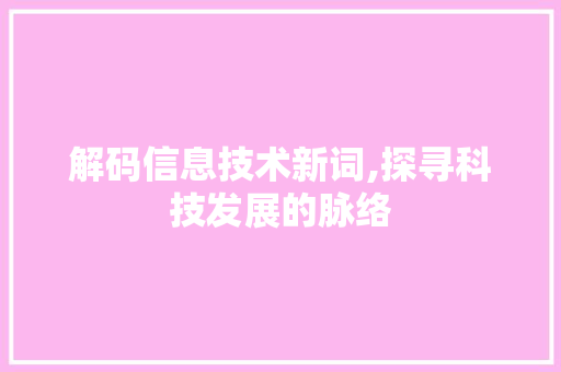 解码信息技术新词,探寻科技发展的脉络