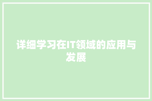 详细学习在IT领域的应用与发展 seo技术