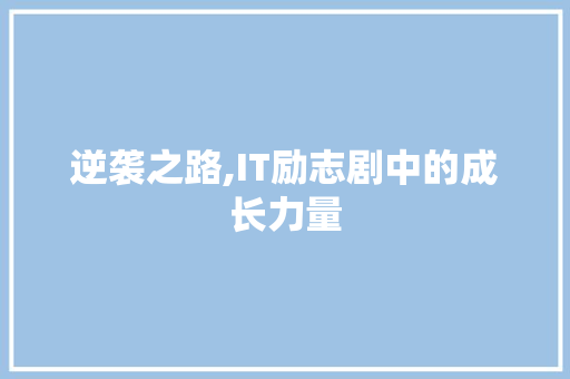 逆袭之路,IT励志剧中的成长力量