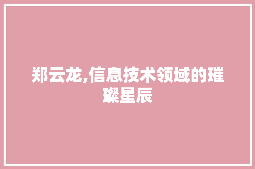 郑云龙,信息技术领域的璀璨星辰