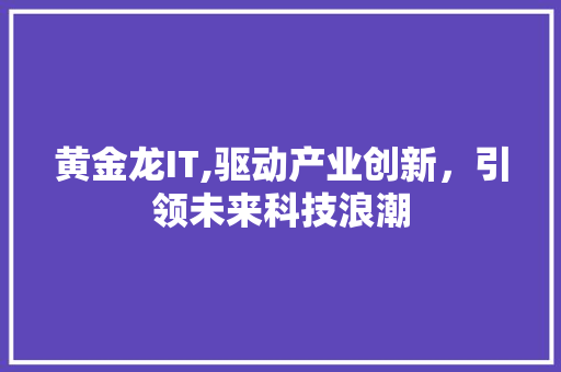 黄金龙IT,驱动产业创新,引领未来科技浪潮 头条优化 黄金龙IT,驱动产业创新,引领未来科技浪潮 头条优化