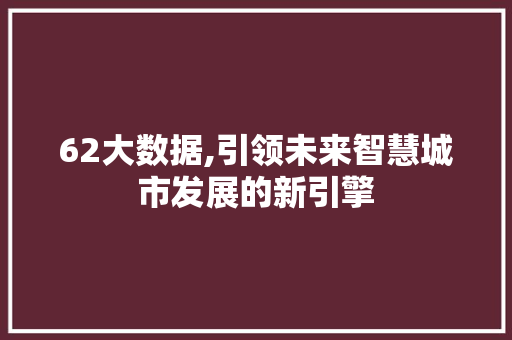 62大数据,引领未来智慧城市发展的新引擎 英文谷歌算法