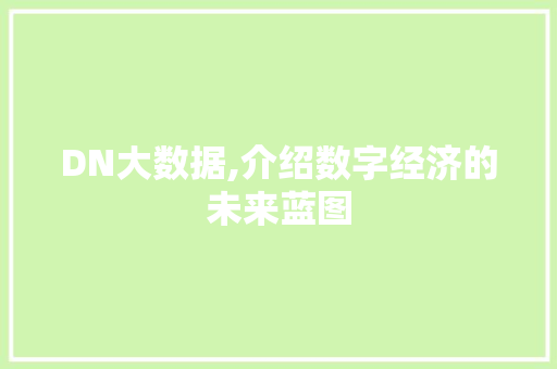 DN大数据,介绍数字经济的未来蓝图