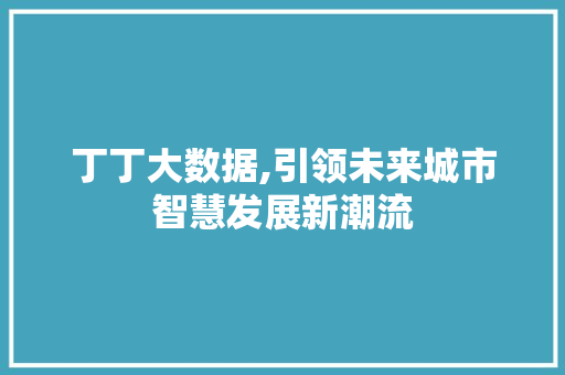 丁丁大数据,引领未来城市智慧发展新潮流 seo技术