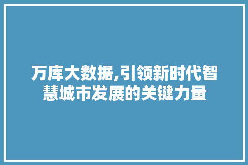 万库大数据,引领新时代智慧城市发展的关键力量 seo技术