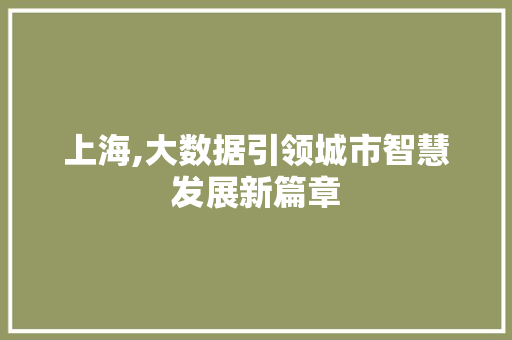 上海,大数据引领城市智慧发展新篇章