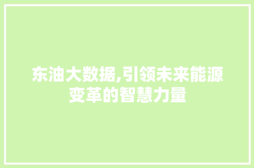 东油大数据,引领未来能源变革的智慧力量