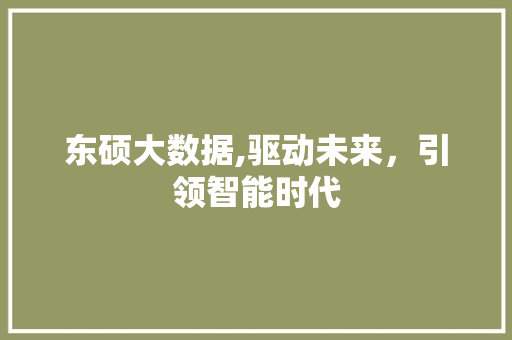东硕大数据,驱动未来，引领智能时代