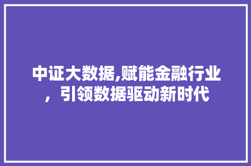 中证大数据,赋能金融行业，引领数据驱动新时代