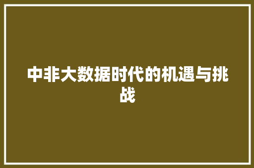 中非大数据时代的机遇与挑战