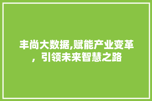 丰尚大数据,赋能产业变革，引领未来智慧之路