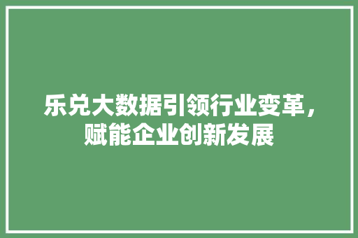乐兑大数据引领行业变革，赋能企业创新发展