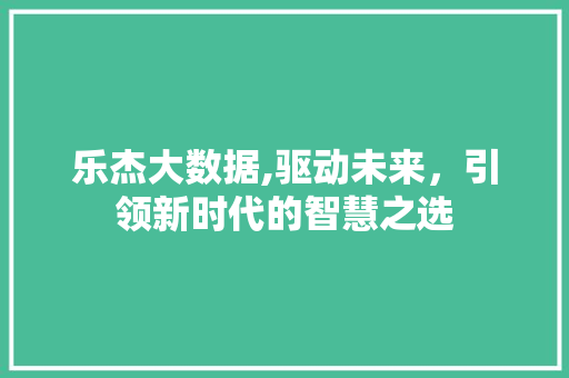 乐杰大数据,驱动未来，引领新时代的智慧之选 seo技术