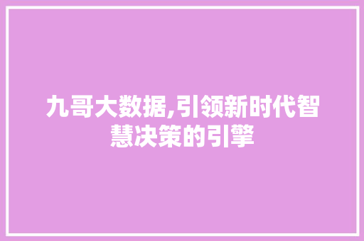 九哥大数据,引领新时代智慧决策的引擎