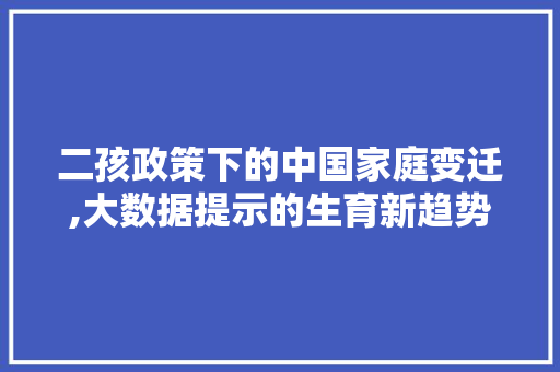 二孩政策下的中国家庭变迁,大数据提示的生育新趋势