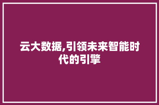云大数据,引领未来智能时代的引擎