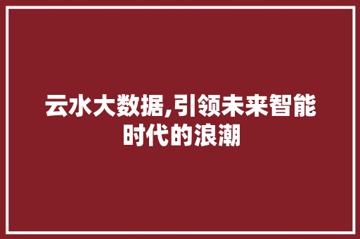 云水大数据,引领未来智能时代的浪潮 网站优化